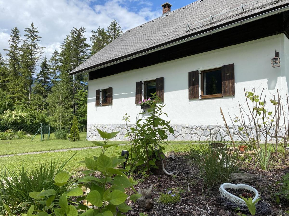 Chalet Am Weissenbach Hinterstoder Eksteriør billede