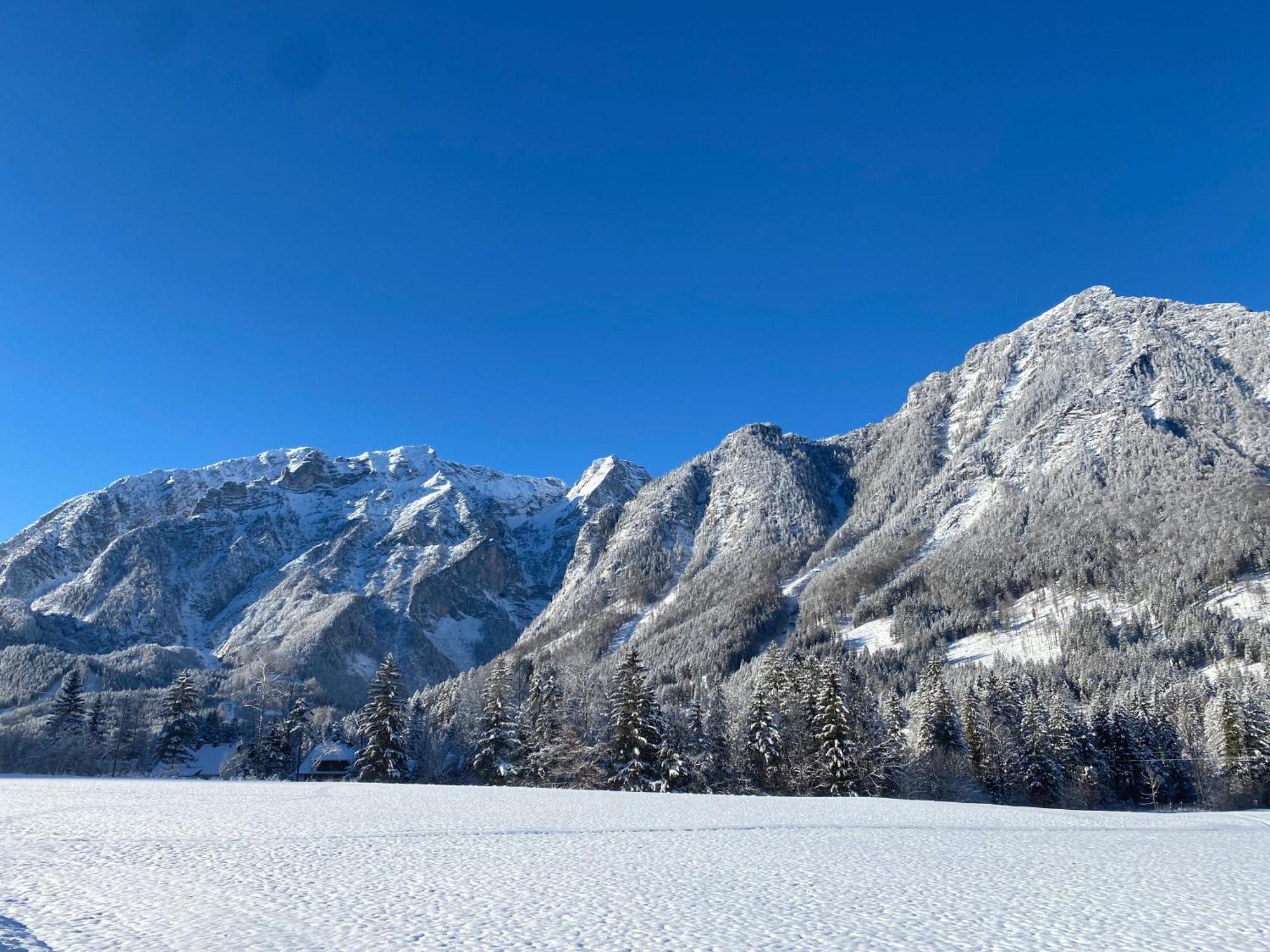 Chalet Am Weissenbach Hinterstoder Eksteriør billede